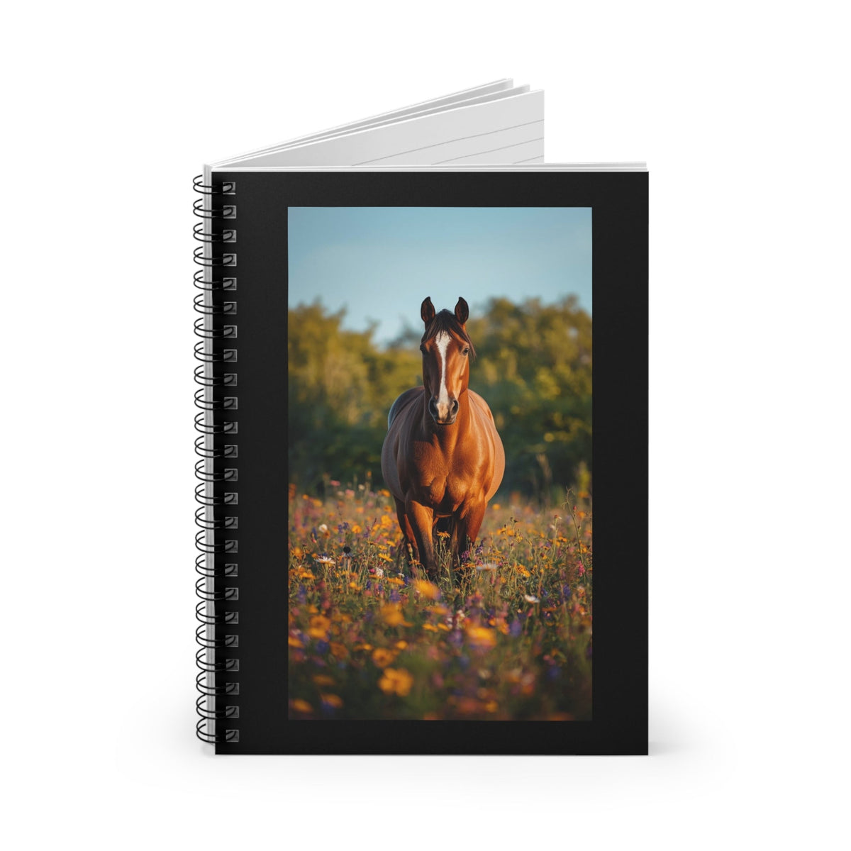 Supporting Equine & Animal Rescues
