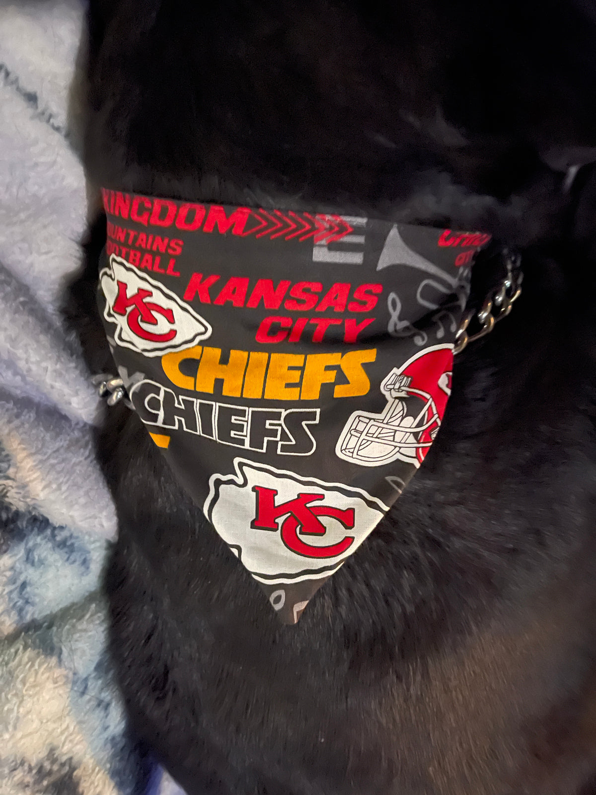Handmade Pet Bandanas