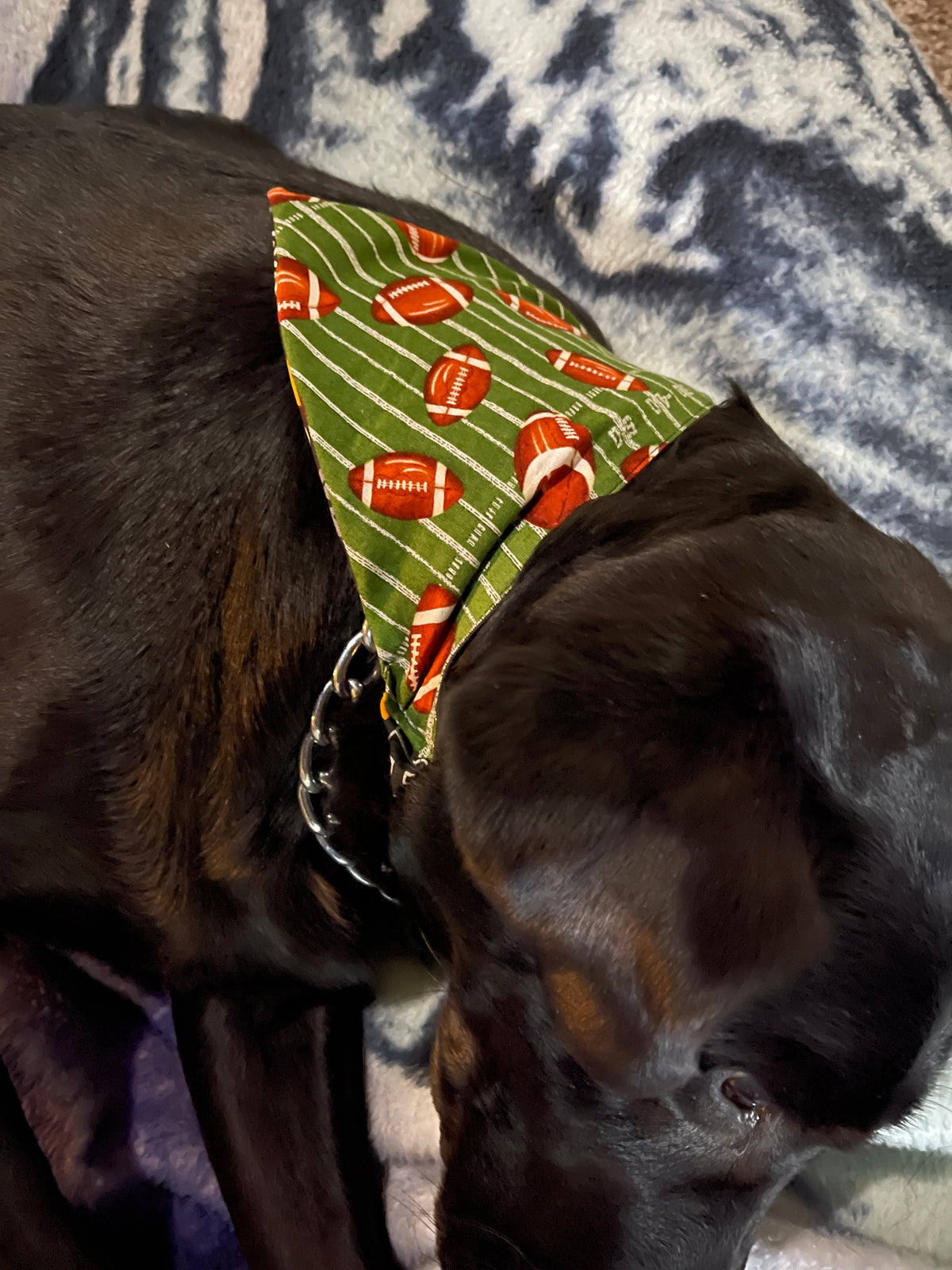 Handmade Pet Bandanas