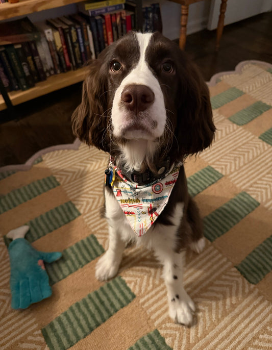 Handmade Pet Bandanas