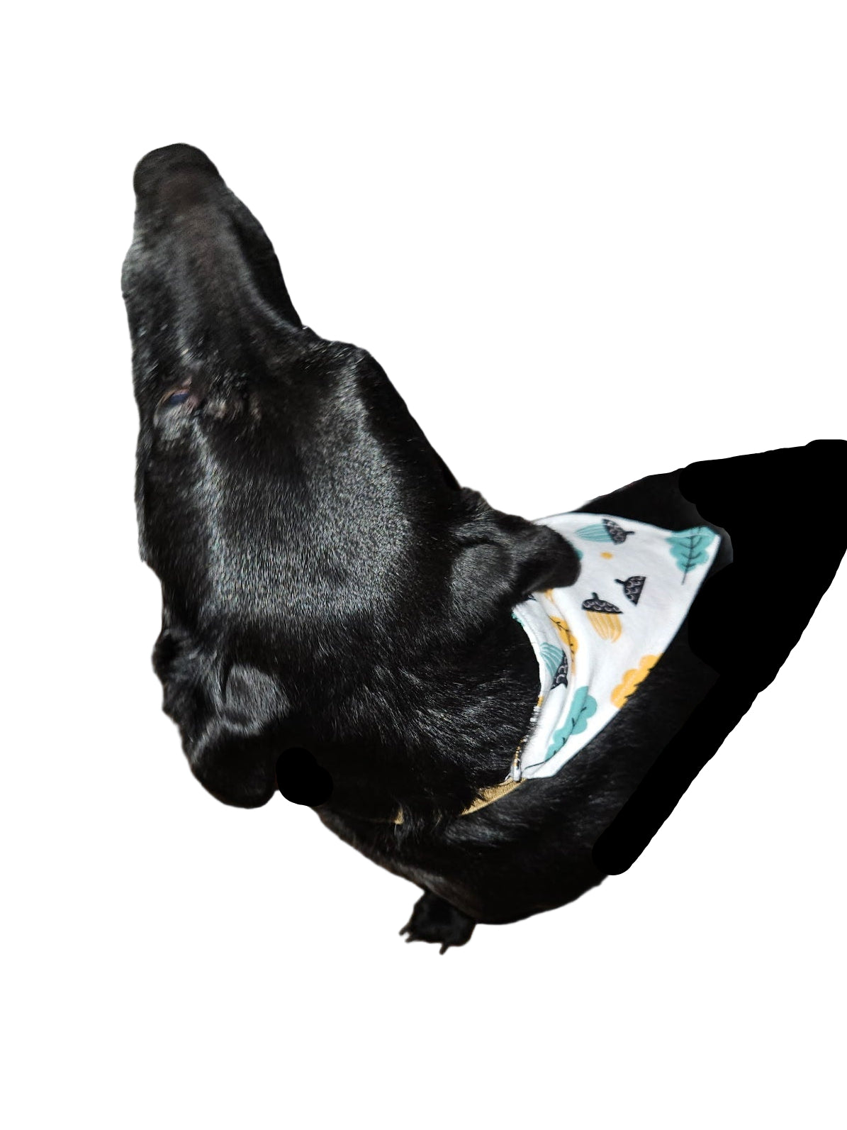 Handmade Pet Bandanas